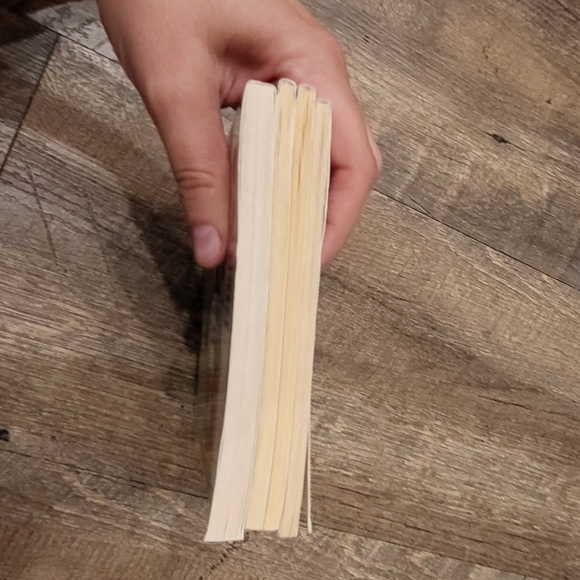 The Puppy Place Summer Reading Scholastics 4 book set - Reading level 2 - Picture 10 of 10